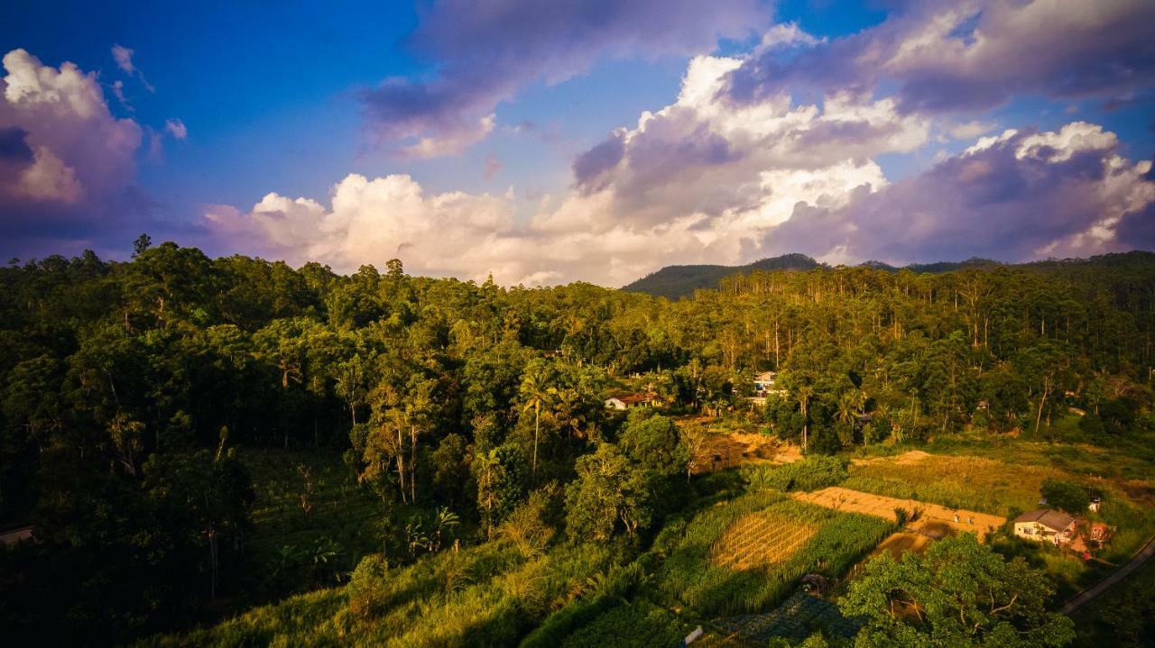 Ella Breeze Homestay Exterior photo